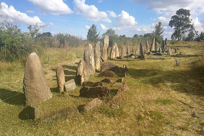 Day Tours to Tiya Stele and Cave Churches of Adadi Maryam - Tiya UNESCO Site, 36 Monuments, and 32 Stelae Symbols