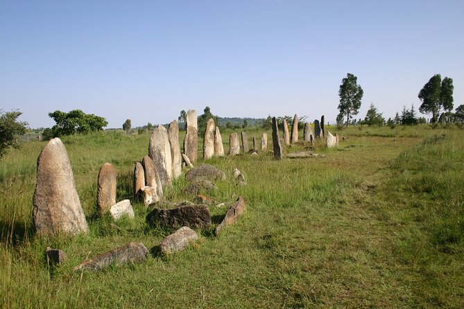 Day Tours to Tiya Stele and Cave Churches of Adadi Maryam - Who This Tour Fits Best, and Who Should Skip