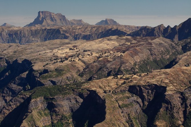 Day trek to Simeien Mountains - Wildlife and Birds: What You Might See in the Simien Highlands