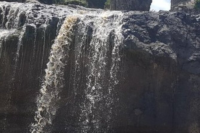 Day Trip Around Addis Ababa - Portuguese Bridge on the Blue Nile Gorge: Views, Chelada Baboons, and Birds