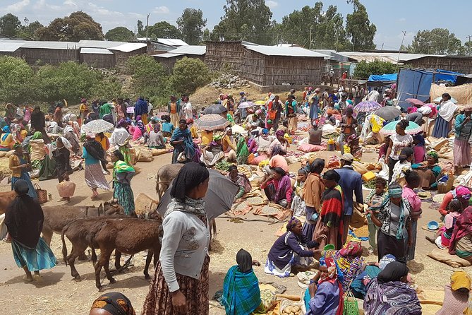 Day-Trip Church of Adadi Mariam from Addis Ababa - Melka Kunture Museum and the Open-Air Excavation Older Than 800,000 Years