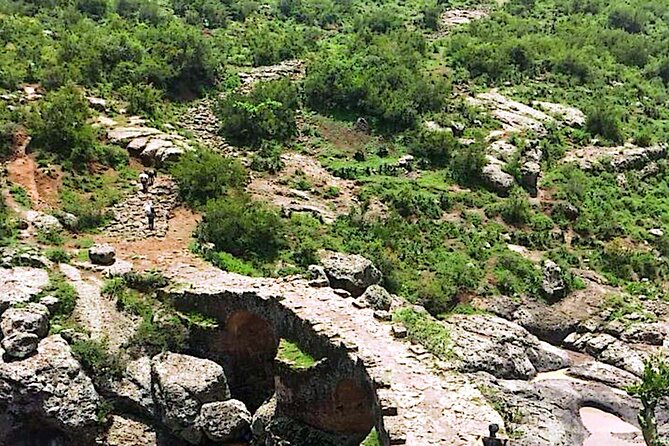 Day Trip Debre Libanos Bule Nile George and Portugal Bridge - Portuguese Bridge over the Blue Nile Gorge: views, Chelada baboons, and birds