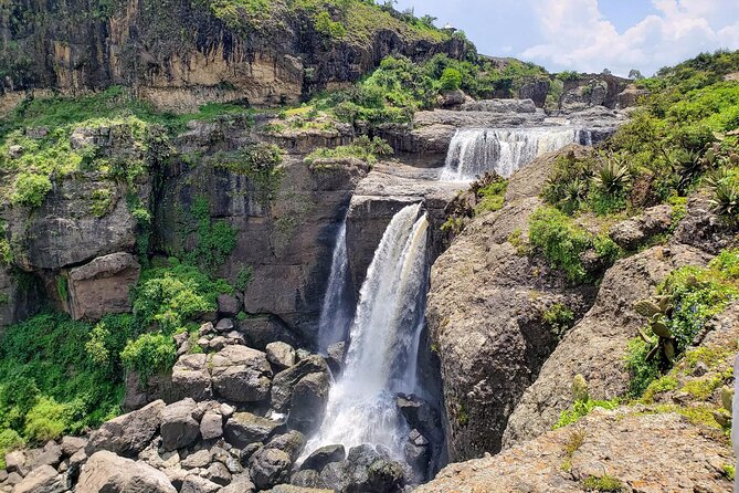 Day Trip From Addis Ababa See Historical Monastery,Stunning Nature,Animals,Birds - Birdwatching Bonus: From Harwood’s Francolin to Turacos