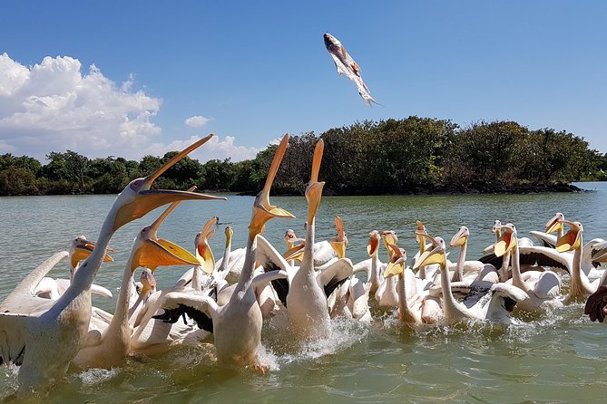 Day trip on Bahir dar. To visit lake tana monasteries and Blue Nile Falls. - Key Highlights You’ll Actually Notice