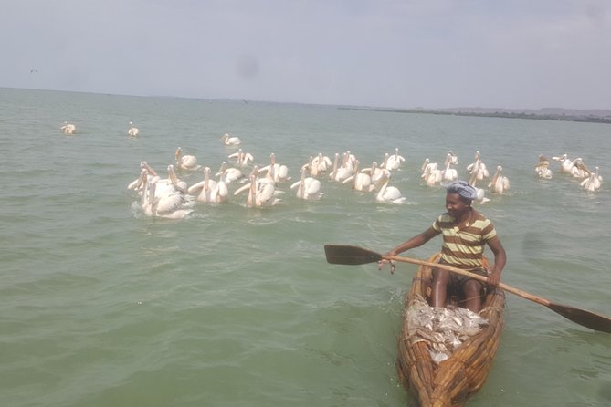Day trip on Bahir dar. To visit lake tana monasteries and Blue Nile Falls. - Pickup at Your Hotel, Start Time at 7:00 am, and How the Day Paces