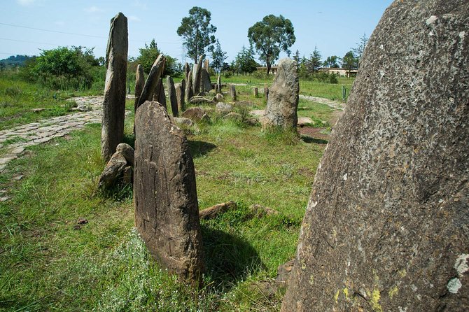 Day trip to Adadi Mariyam, Tiya and Melka kunture - Tiya World Heritage Site: stelae plus the UNESCO feeling