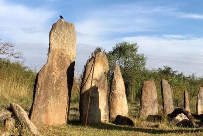 Day trip to Adadi Mariyam, Tiya and Melka kunture - Melka Kunture: nearly 2 million year old fossils in plain view