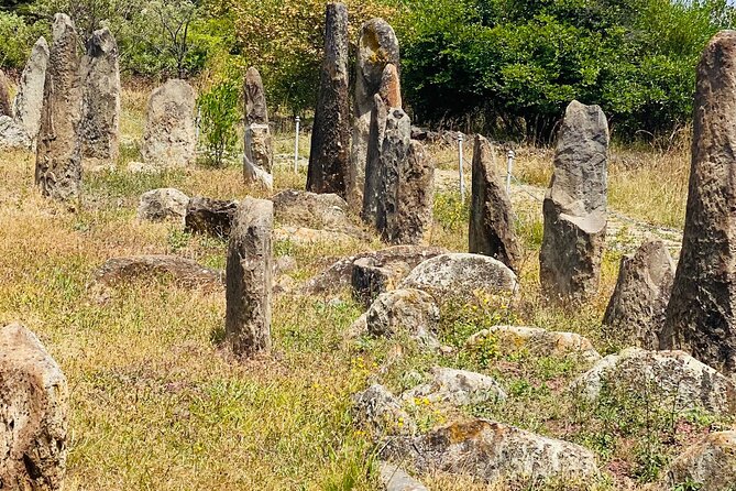 Day Trip to Adadi Rock and Tiya Archeological Excursion - Transport and timing: what the 8 hours is really like