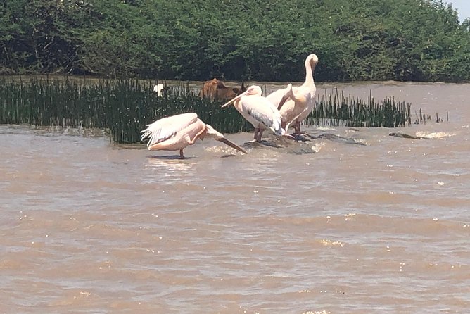 Day Trip To Lake Ziway - Price and value: is $275 per person a fair deal?