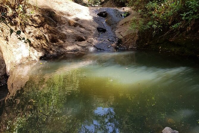 Day Trip to Menagesha Suba Forest from Addis Ababa - Lunch, Ethiopian Coffee, and Staying Comfortable Off the Grid