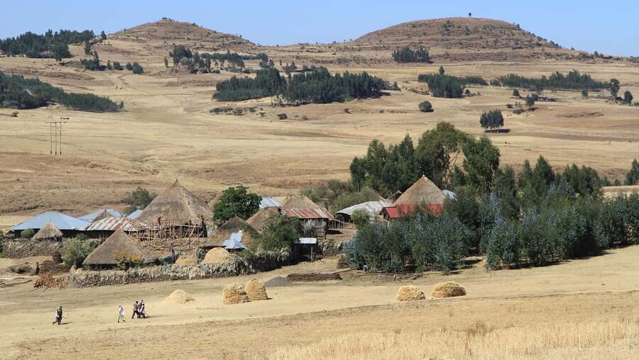 Day Trip To See Monastrys,Amazing landscapes & Animals - The 105 km drive from Addis, and why timing helps