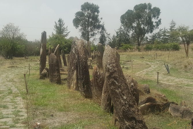 Day Trip to Tiya UNESCO Site & Melka Kunture Archaeological Site - Key highlights at a glance