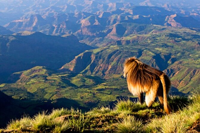 Debre Libanos and Portuguese bridge - Key highlights to look for