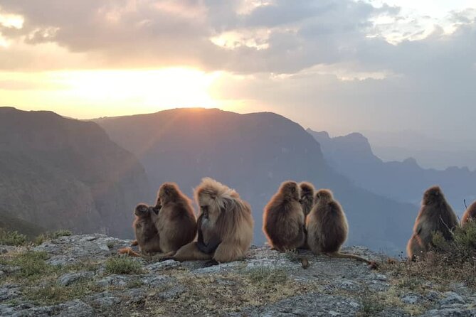 Debre Libanos and Portuguese bridge - Liyu Ethiopia Tours: reliability is part of the value