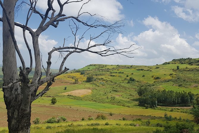 Debre Libanos Monastery and Jemma River Gorge - Day Tour from Addis Ababa - What This Tour Really Includes, Beyond the Checklist