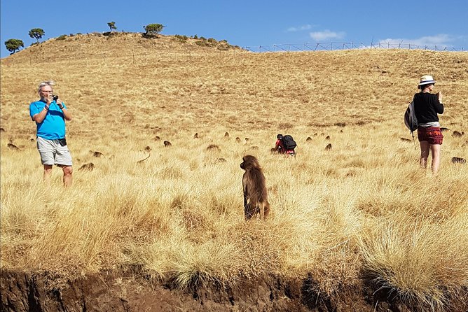 Debre Libanos Monastery and Jemma River Gorge - Day Tour from Addis Ababa - Lunch, Snacks, and What to Do If You Are Picky About Food