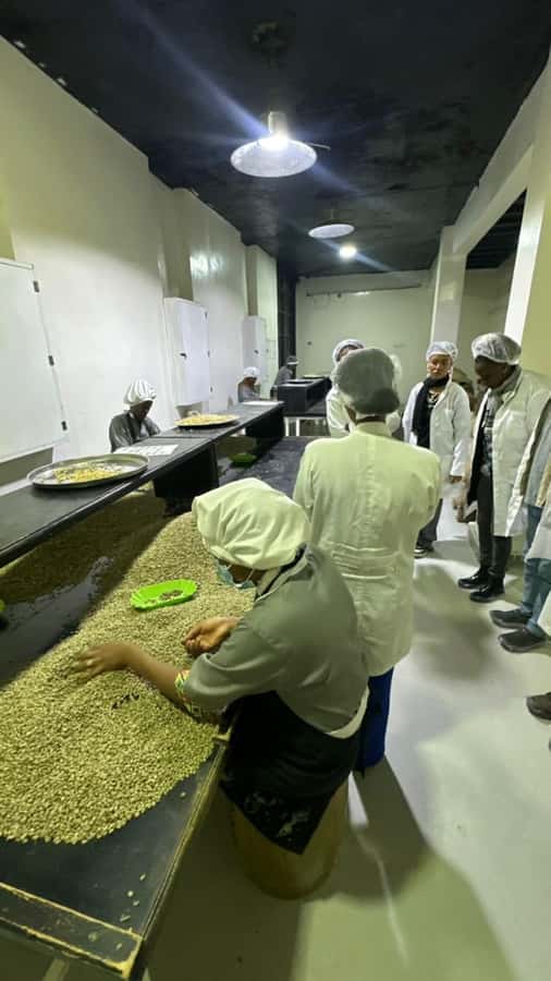 Ethiopia coffee cupping class/Ethiopian food injera making - Price and value: is $94 a fair deal for coffee plus injera?