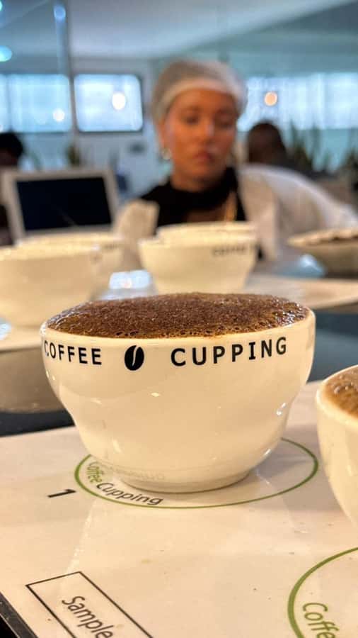 Ethiopia coffee cupping class/Ethiopian food injera making - Addis Ababa pickup and the 4-hour shape of the day