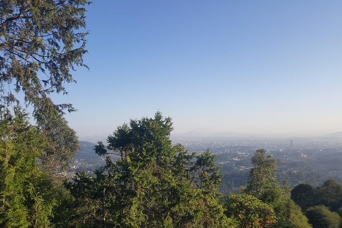 Full Day Tour of Addis Ababa with Hotel Pickup and Drop-off - Lunch stop at Taitu Hotel: a known name with options