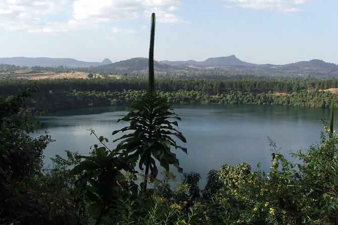 Full Day Trip to Lake Wonchi - Price and Value: What $134 Covers, and What It Does Not