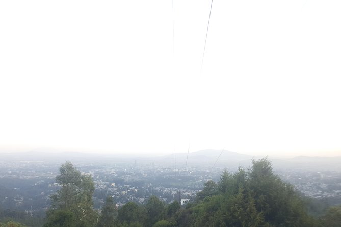 Fullday VIP Tour to The Unity Park, Friendship Park, Entoto park - Who This Tour Fits Best in Addis Ababa