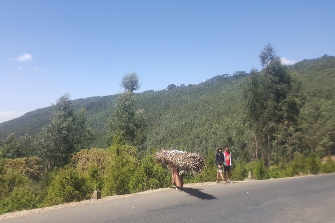 Fullday VIP Tour to The Unity Park, Friendship Park, Entoto park - Stop for Lunch Before You Head into Central Addis