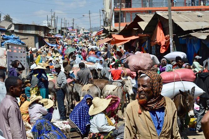 Half day Addis Ababa Excursions- complete experience guaranteed - Mount Entoto: Forest Footsteps and City Views Without the Long Detour