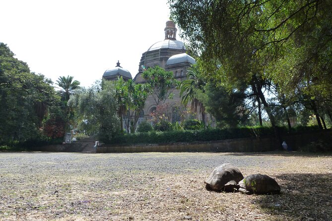 Hidden Treasures of Addis Ababa - Food, Culture and History Tour - Key Highlights You Should Know Before You Go