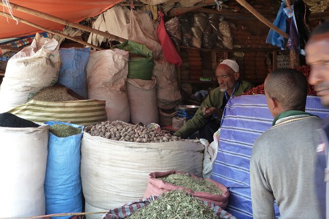 Hidden Treasures of Addis Ababa - Food, Culture and History Tour - Zoma Museum Lunch in a Garden, Plus Ethiopian Coffee the Traditional Way