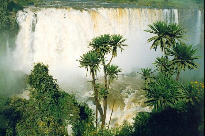 Historical-tour Lalibela Gonder & Bahir Dar - The drive to Gondar, 180 km of Amhara life