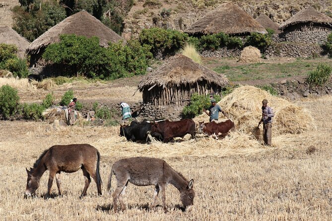 Lalibela 2-Day Eco Trekking Tour - Pickup Options and Real-Life Logistics That Reduce Hassle