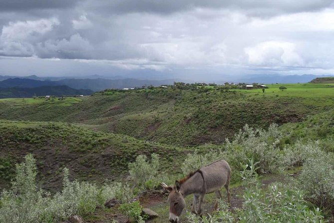Lalibela churches Guided Tour - Stop 2, Southeastern Cluster: Bet Gabriel-Rufael to Bet Abba Libanos