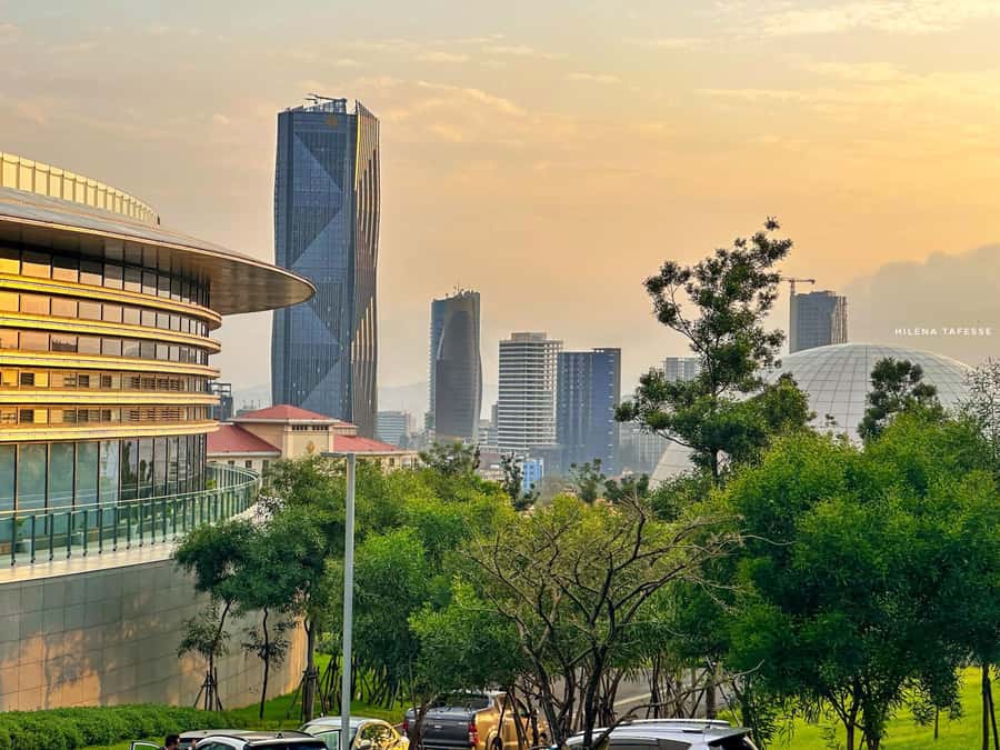 Layover in Addis Ababa 5 hours tour - National Museum: Lucy and ancient Ethiopia in one stop