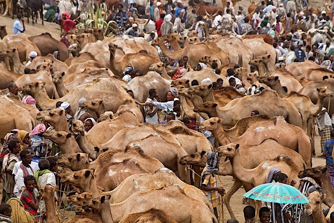 North Ethiopia Round Trip Tours From Addis Ababa - Key highlights to pay attention to