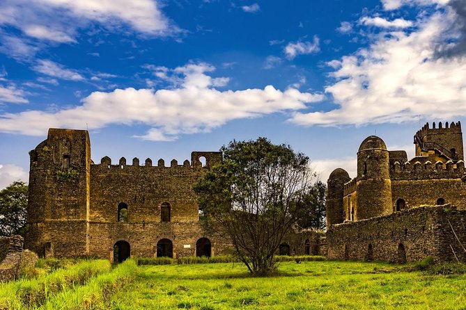 North Ethiopia Tours 12 Days From Addis Ababa - Axum: obelisk, inscriptions, and the church complex that ties everything together