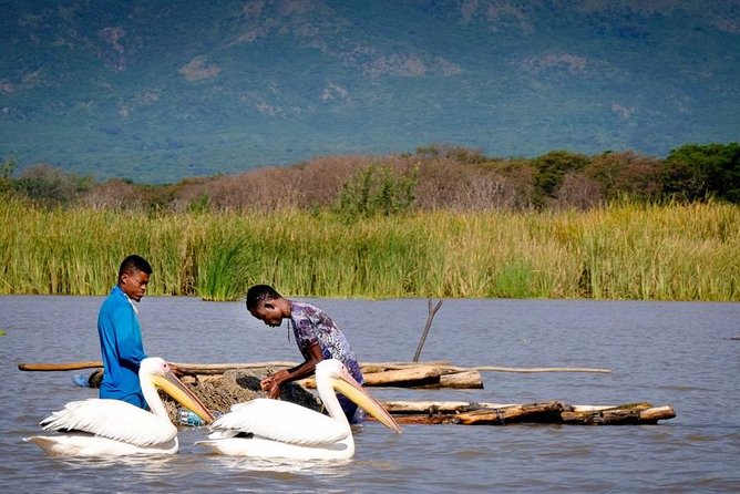 Northern Ethiopia Historic Route - Blue Nile Falls: Village Walk, Scenery, and a Boat Crossing