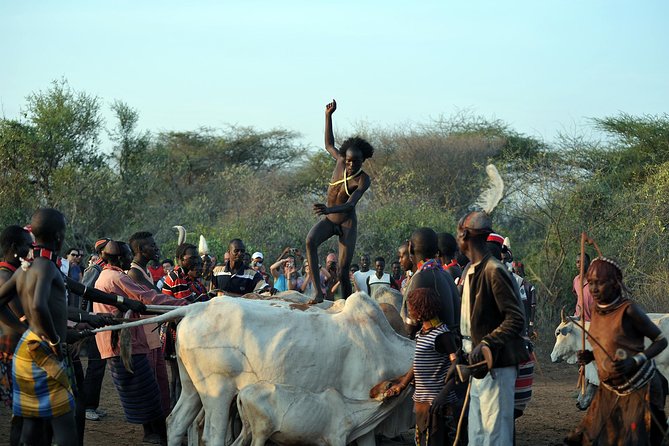 Omo Valley 5 Days - Day 4: Mago National Park Wildlife, Then Mursi Lip Plates