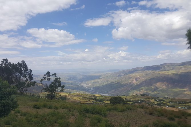 Private Day Trip to Debre Libanos Portuguese Bridge Galada Baboon - Mount Entoto: eucalyptus air and a big Addis Ababa viewpoint