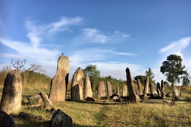 Private Full-Day Stone Age and Medieval Tour from Addis Ababa - A private full day that links Ethiopia’s earliest humans to medieval monuments