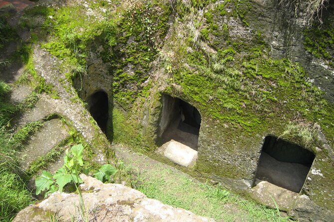 Private Full-Day Stone Age and Medieval Tour from Addis Ababa - Tiya UNESCO stelae field: the museum that helps you read what you see