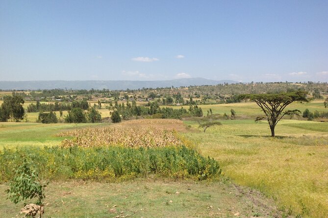 Private Full-Day Stone Age and Medieval Tour from Addis Ababa - Timing and pace: what to expect from an 8-hour route