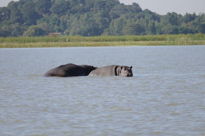 Private Guided Tours To Bahir Dar Lake Tana Monastery & Blue Nile Waterfalls - A Bahir Dar Day That Hits Market, Lake Tana, and the Blue Nile