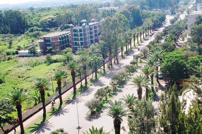 Private Guided Tours To Bahir Dar Lake Tana Monastery & Blue Nile Waterfalls - Tis Isat and the Blue Nile Falls, Dam Reality Included