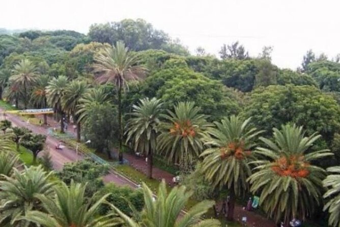 Private Guided Tours To Bahir Dar Lake Tana Monastery & Blue Nile Waterfalls - Who This Tour Fits Best in Your Ethiopia Plan