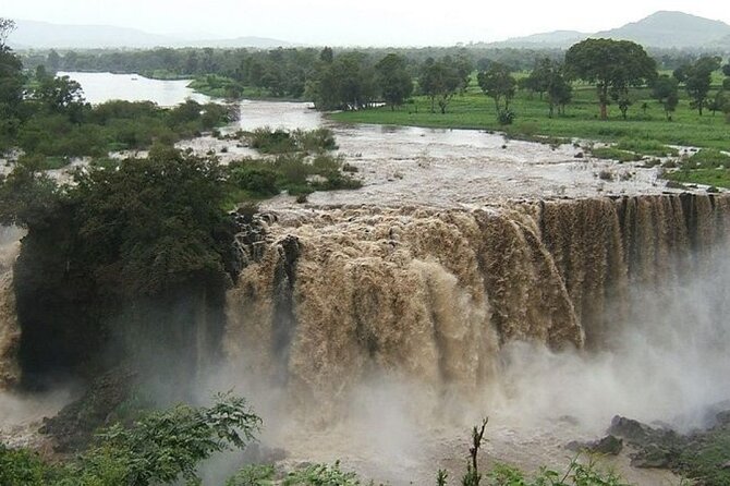 Private Guided Tours To Bahir Dar Lake Tana Monastery & Blue Nile Waterfalls - Bahir Dar Market Stop: A Real-World Start Before the Monastery Quiet