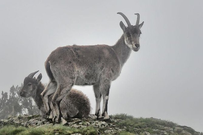 Simien Mountains – 4 Days - Price and value: What $500 covers (and what it doesn’t)