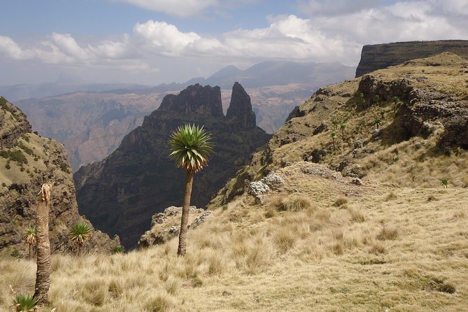 Simien Mountains National Park – 7 Day Trek - Day 6: Mekarebya to Mulit, Insya River Crossings, and Monkey Odds