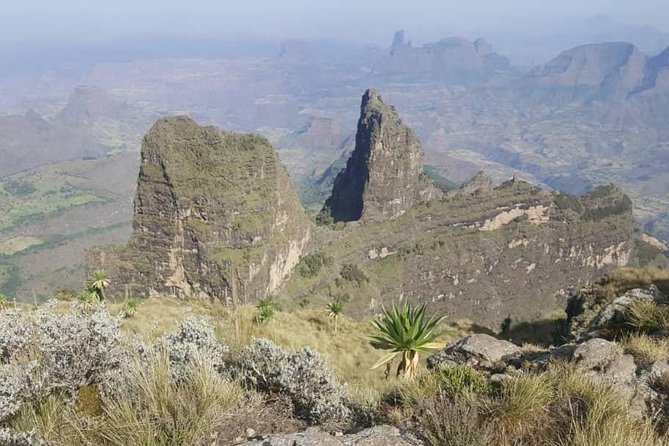 Simien Mountains Trekking Adventure - Getting to the trail: Debark, the park office, and your scout and guide