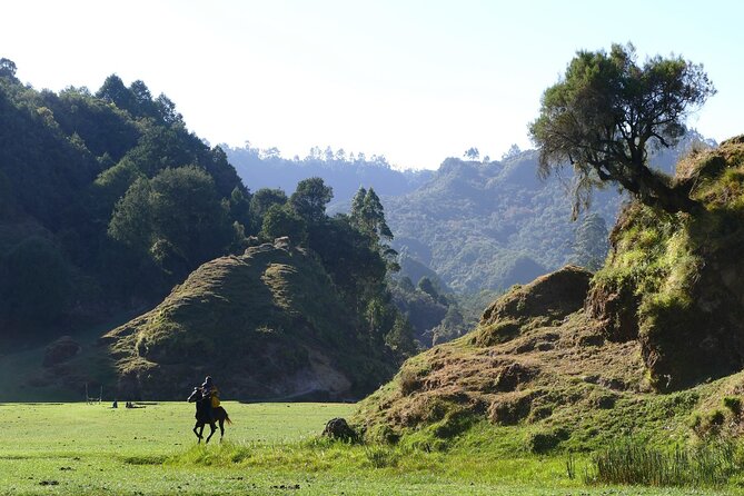 Stunning Views Wonchi Crater Lake a Private Day Trip - The real draw: an Ethiopia crater day trip with variety