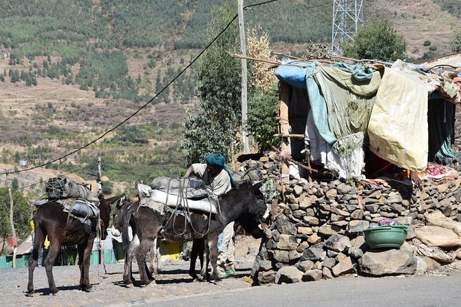 The Best way to Discover Addis Ababa - Hotel pickup, private transport, and the little perks that matter